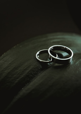 Feed Image 3