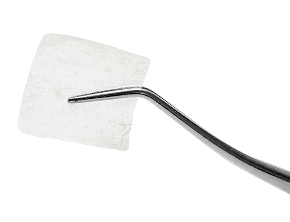 Pericardium Membrane Slow (15X20X0.4mm)