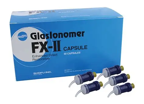 GlasIonomer FX II Set A2